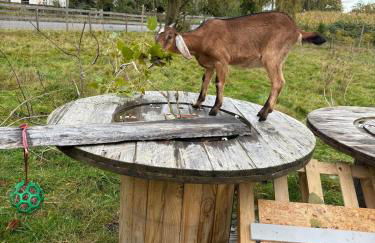 Wohnen in der ehemaligen Bauernstube - Foto 51
