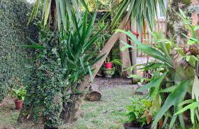 Casa Peruibe Paraiso - Mar, cachoeira, piscina e mata - Foto 58