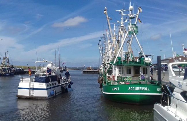 Holiday Home Lenz - Foto 34