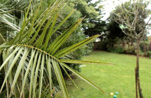 Maison proche centre Carantec - Foto 50