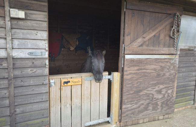 Queen Bower Farm Lodge - Foto 23