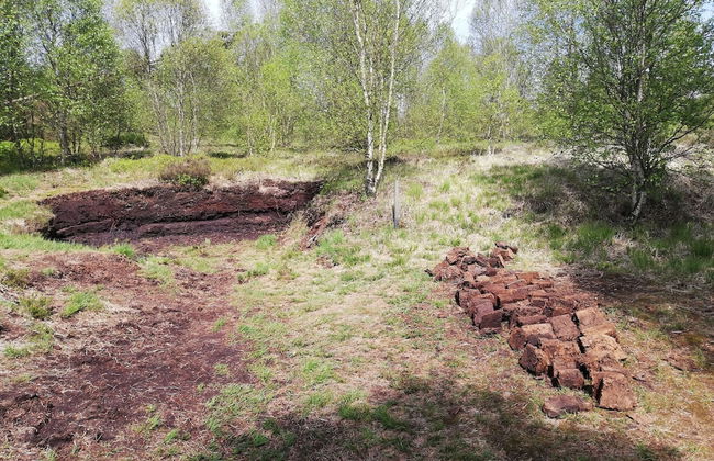 Escape in Hautes Fagnes - Photo 37