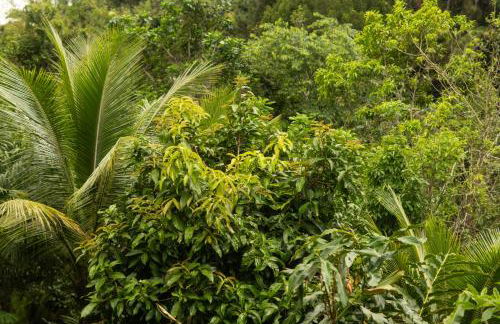 a casinha - Photo 42