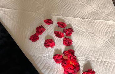 Magnolia duplex - Photo 27