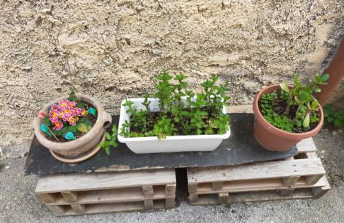 Monolocali Tra Rieti e Terminillo e lago del Salto - Foto 8