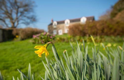 Castle View - Foto 23