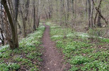 Słoneczna Zatoka - Foto 12