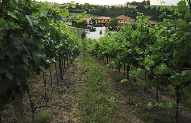 Agriturismo Borgo delle Vigne - Foto 33