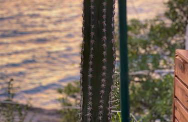 Casa L’Augusta - Foto 8