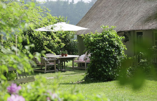 Peaceful Farmhouse in Doorn near Forest - Photo 29