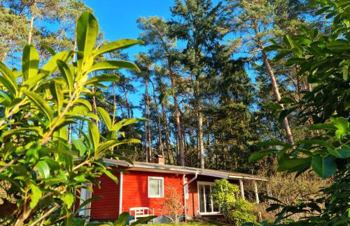 Waldhaus Dötlingen Ferienhaus im Naturpark - Foto 45