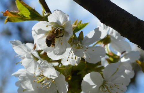 Agriturismo IL CERRO - Photo 48
