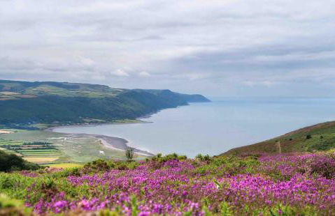 Pilgrim Corner - Photo 46