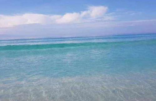 Paraíso de Praia Seca - Carnaval 2026 - Foto 15