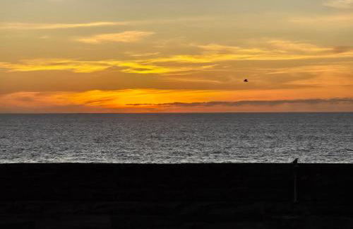 Natural Renacer Zen - Photo 38