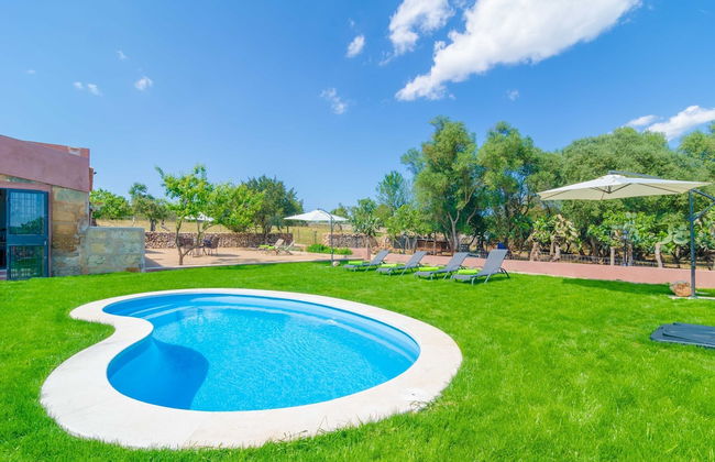 Can Potdir in Ariany - Foto 3