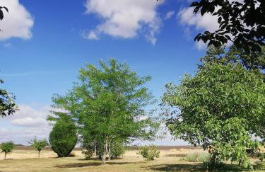 Maison la tour - Photo 39