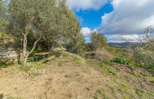 Villa la Collina Charme e Natura - Goelba - Foto 14