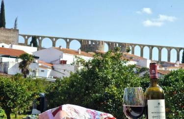 Horta das Laranjas - Foto 27