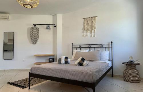 Ammos Andros Accommodation - Photo 46