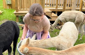 Hawthorn Cottage - Photo 52