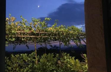 A stone house 'Pojata' - Foto 7