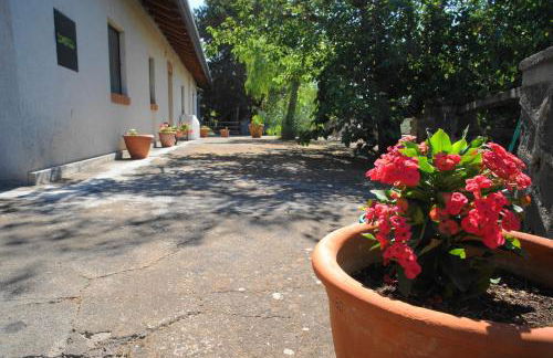 Etna Paradise locazioni brevi - Foto 29