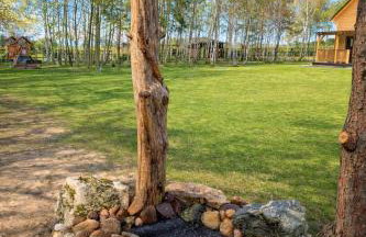 Kasztanowe Wzgórze na Jurze - Foto 4