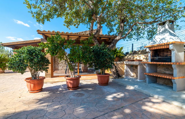 Son Catlar - Photo 24