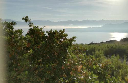 Apartman Konček - Photo 10