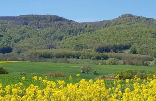 Lovely Apartment in Hesse - Foto 50