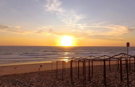 Orion Guest Villa Casais - Foto 62