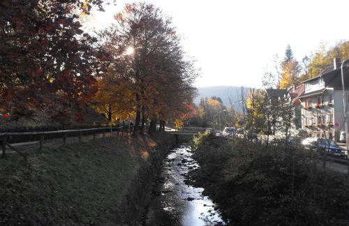 Brummers Ferienwohnung - Foto 10
