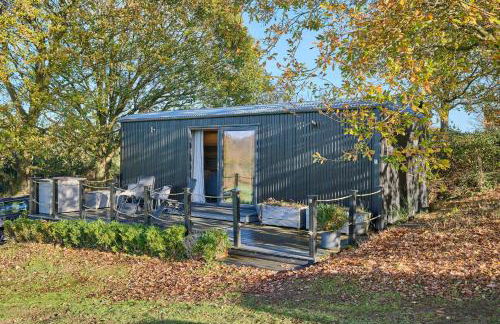 Host & Stay - Molly Mod - Foto 1