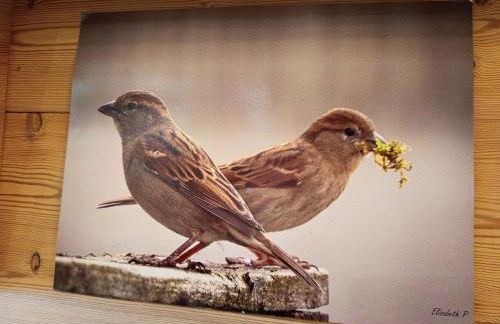 Le Chablis'cîmes - Foto 42