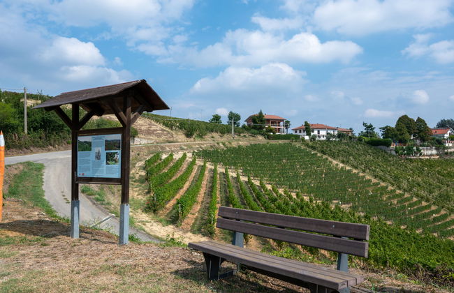 Agriturismo Colle di San Michele - Foto 37