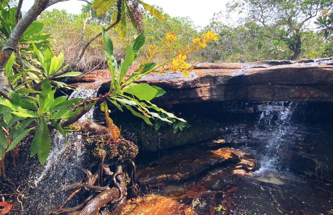 Senderismo por las cascadas de Águas do Cerrado - Foto 6