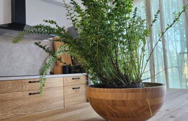 Stancija LotteGaly - GREEN holiday - Foto 13