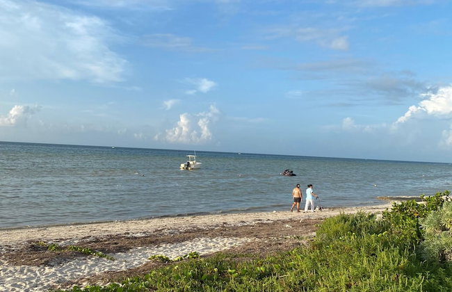 Entire House on the Seashore in Chicxulub Puerto, Yuc, Riviera Yucateca Mex - Foto 28