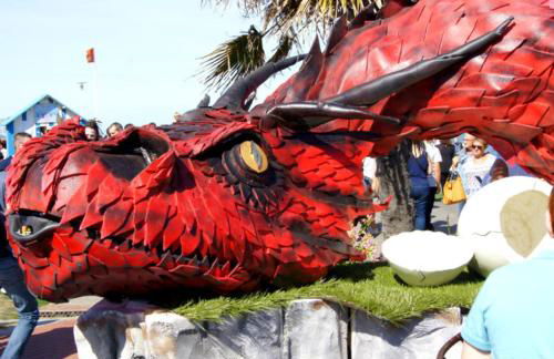 Dune et Terrasse - Photo 49