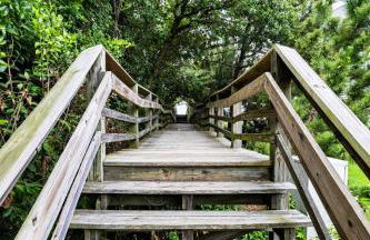 Casa del Pez - Bold, Bright & Steps to the Sand! - Foto 23