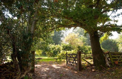 Laundry Cottage in a Nature Reserve - Sunday Times 100 coolest Cottages - Foto 14