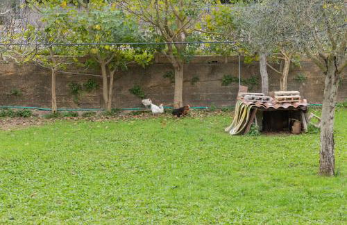 Yourhouse Villa Sa Caseta - Foto 38