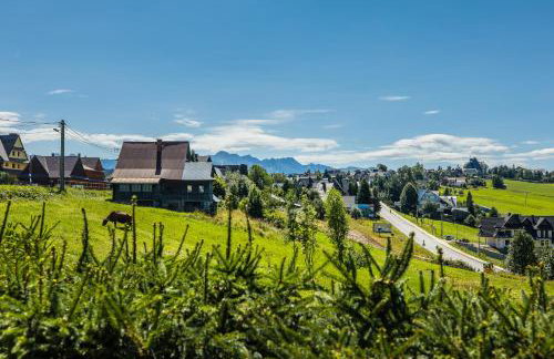 Willa Gocówka & SPA - Foto 80