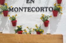 Preciosa casa de pueblo entre Ronda y Setenil La Posada de Catalina - Foto 72