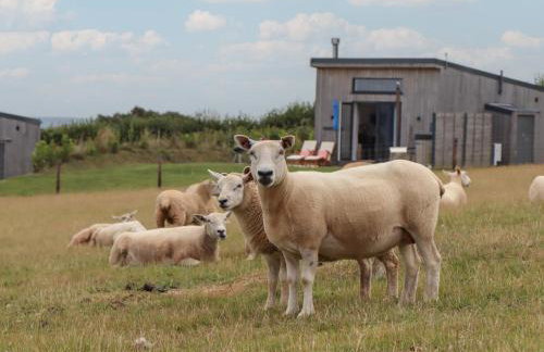 The Cadeleigh - Foto 39