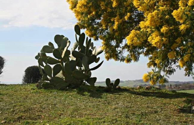 Agriturismo Verdicchio - Photo 11