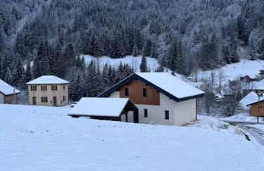 Villa en Bellevaux avec sauna et jacuzzi - Foto 10