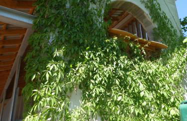 Apartments in Fischbach bei Dahn - Pfälzerwald 42914 - Foto 9