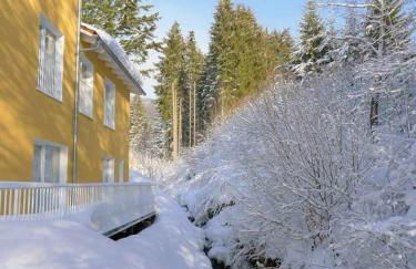 Ferienwohnungen Schönbachtal - Foto 13